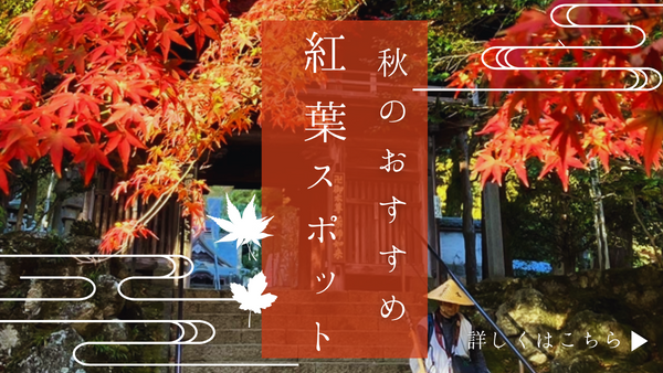 紅葉バナー